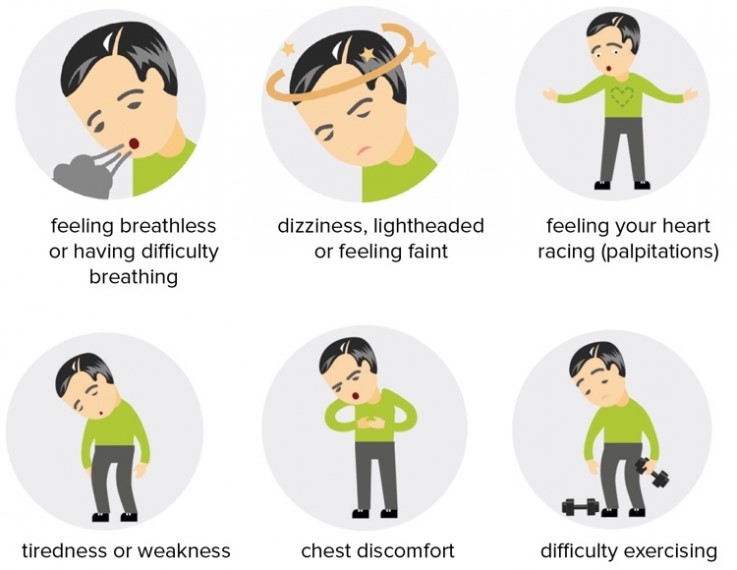 24-hour ECG recorder with AI analysis
